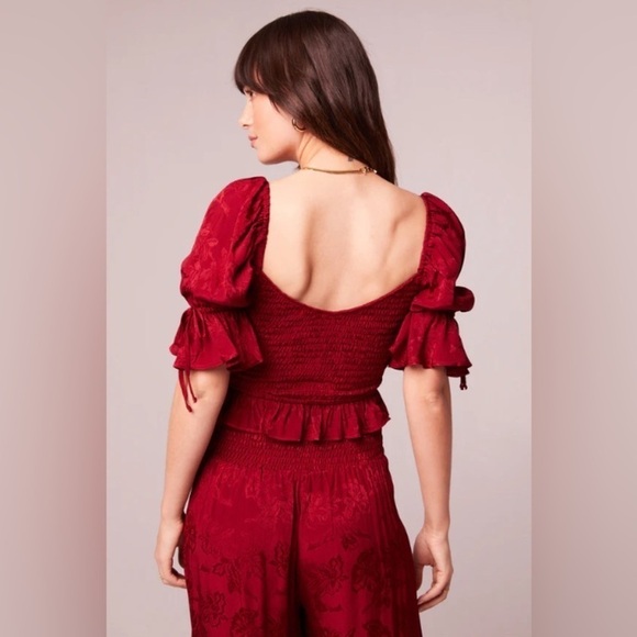 NWT Band of the Free Whimsigoth Romantic Ruby Rhubarb Smocked Crop Top Size XS - Picture 2 of 9